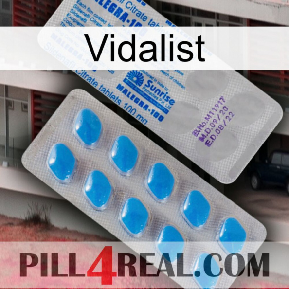 Vidalist new15.jpg